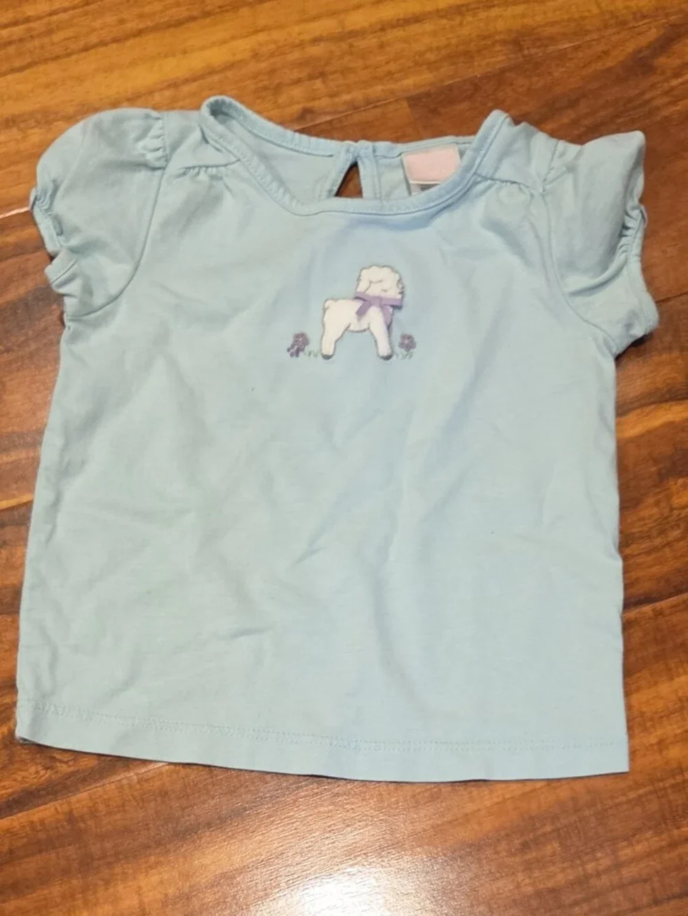 Janie and Jack EUC 12-18 months teal lamb top, colorblock ponte skirt
